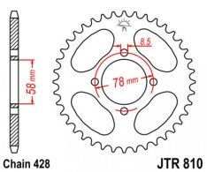 JT lánckerék JTR810.36